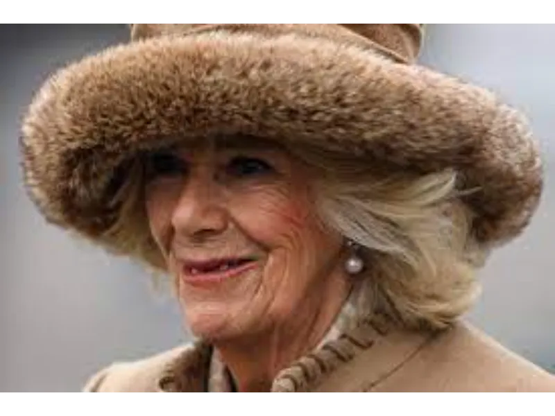 Queen camila:UK's Queen consort Camilla: from palace margins to royal limelight NEWSNAIJA.NG NEWS FOREIGN NEWS LATEST NEWS