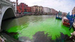 Patch Of Venice River Turns Fluorescent Green